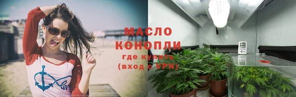молекула духа Богородицк