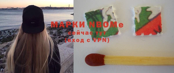 молекула духа Богородицк