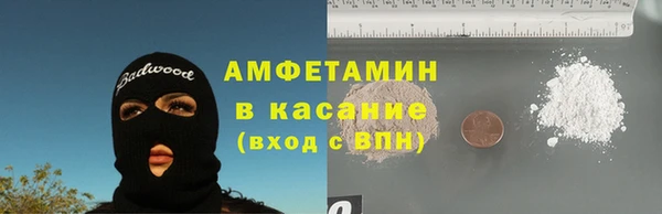 молекула духа Богородицк