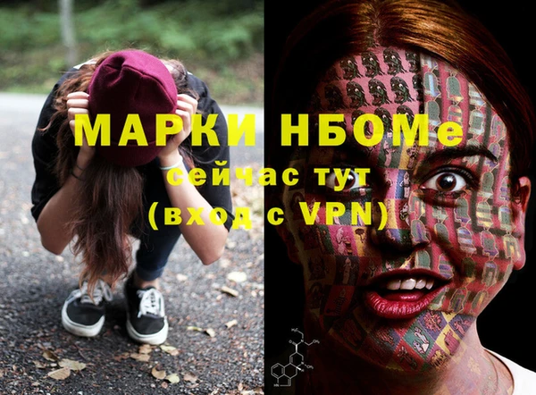 молекула духа Богородицк