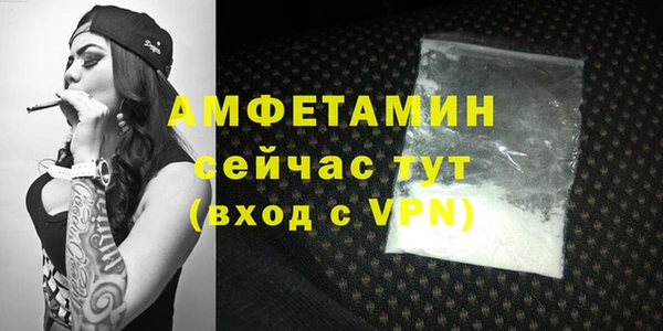 молекула духа Богородицк